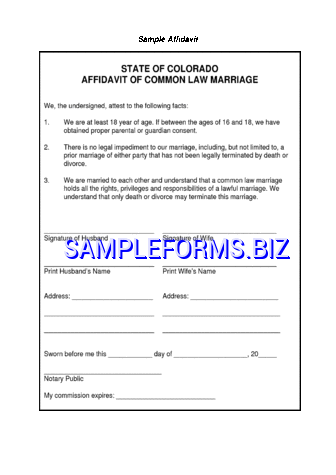 State of Colorado Affidavit of Common law Marriage pdf free
